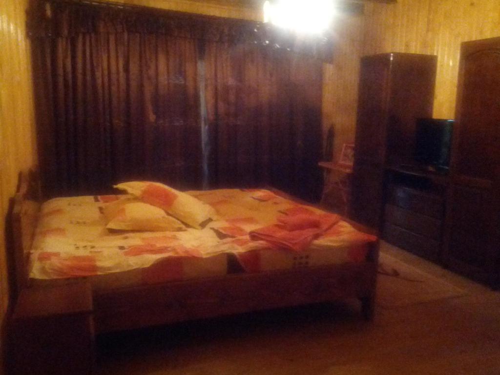 Pensiunea Magdalena Cîmpulung Rom bilde